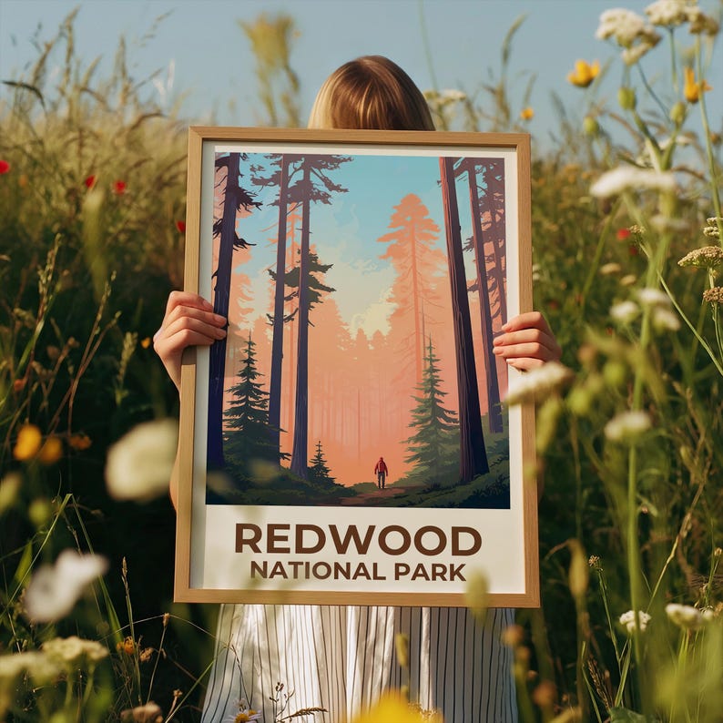 Redwood National Park Travel Print, California Poster, Tall Trees Wall Art, Forest Illustration, Redwood Poster, Home Decor, Birthday Gift