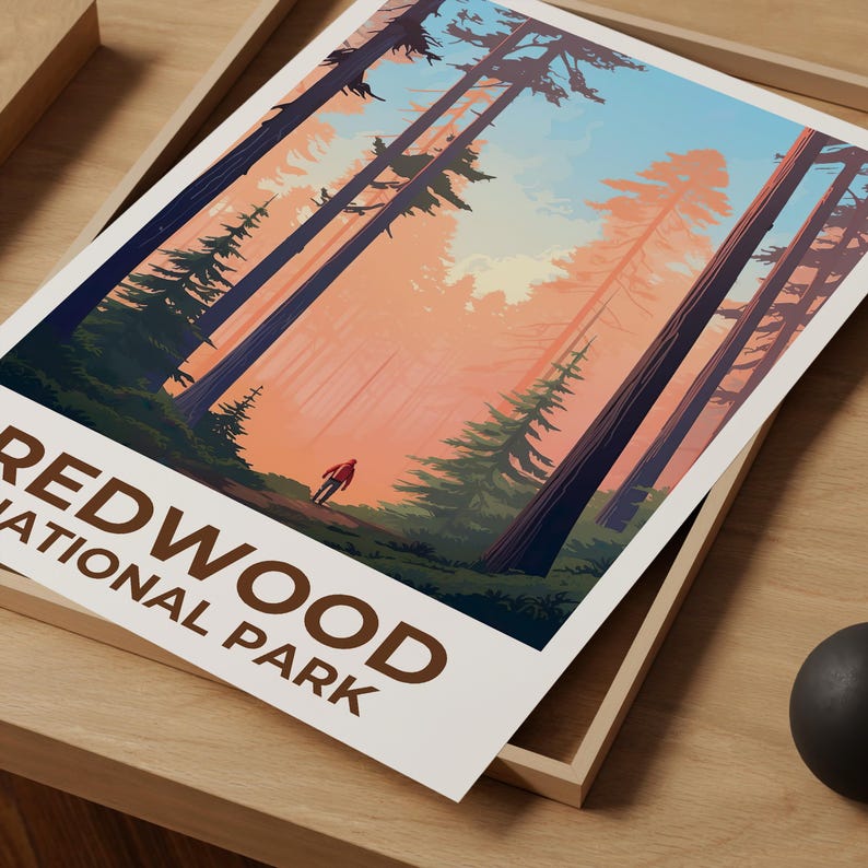 Redwood National Park Travel Print, California Poster, Tall Trees Wall Art, Forest Illustration, Redwood Poster, Home Decor, Birthday Gift