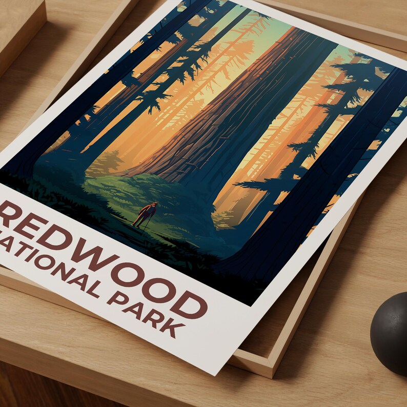 Redwood National Park Print, California Poster, Forest Art, Redwood Illustration, Scenic Poster, Adventure Gift, Home Decor, Birthday Gift