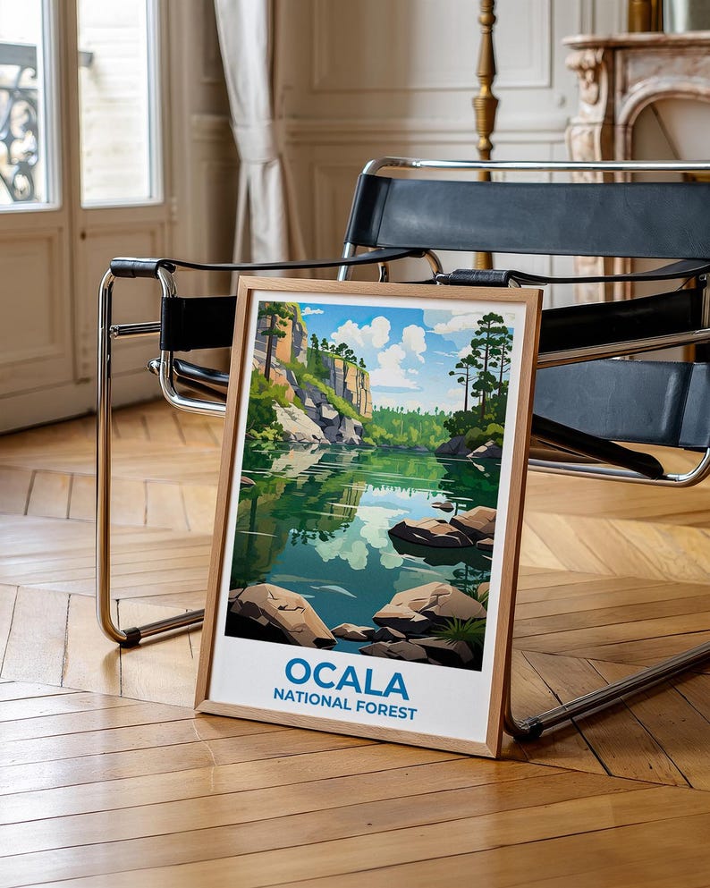 Ocala National Forest Travel Print Florida Poster Lake Wall Art Ocala Illustration Ocala Poster Home Decor Birthday Gift