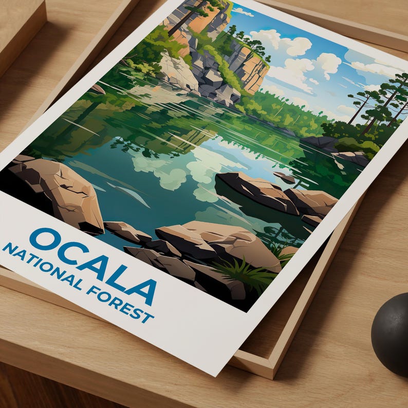 Ocala National Forest Travel Print Florida Poster Lake Wall Art Ocala Illustration Ocala Poster Home Decor Birthday Gift