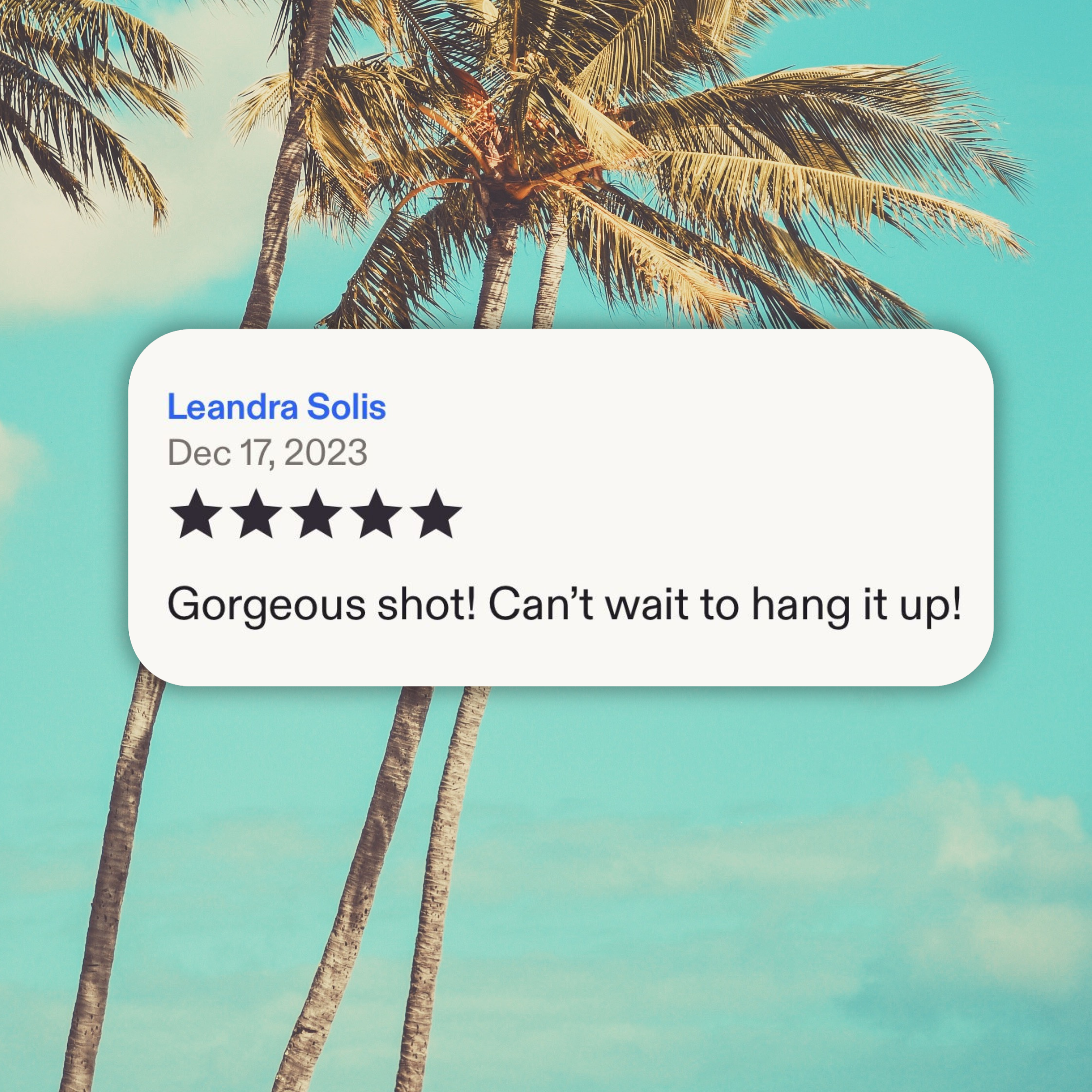 Olympic National Park Poster, Washington Art, Olympic Print, Olympic Poster, Nature Poster, Wilderness Poster