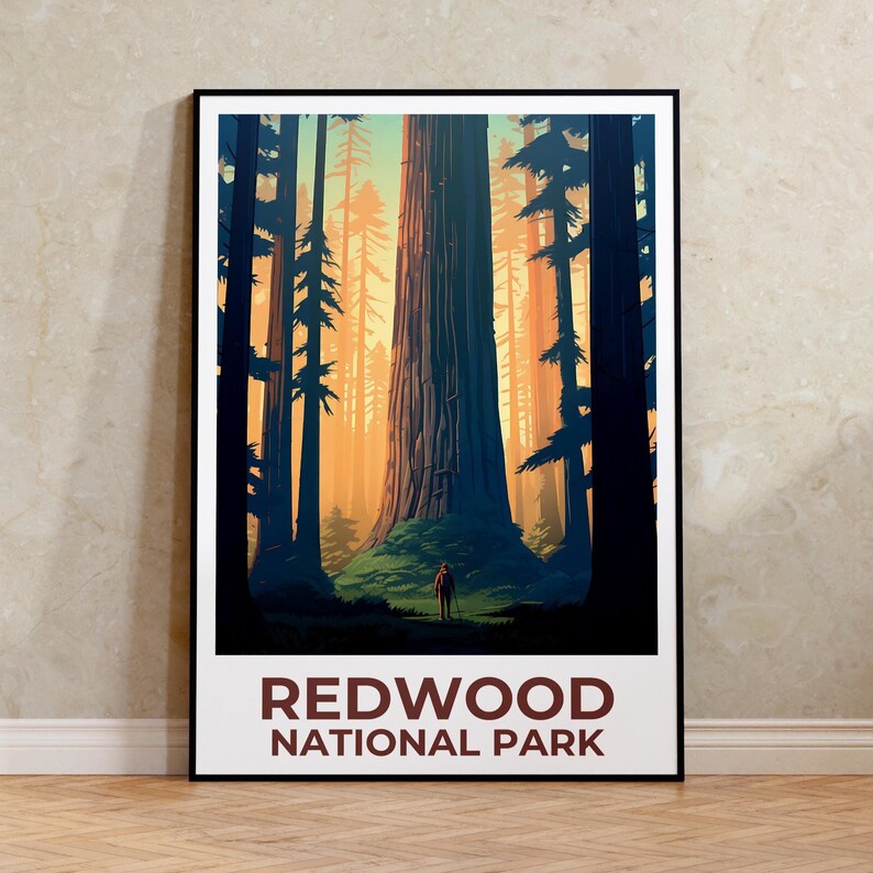 Redwood National Park Print, California Poster, Forest Art,  Redwood Illustration, Scenic Poster, Adventure Gift, Home Decor, Birthday Gift