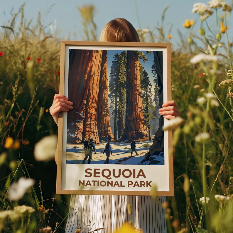 Sequoia National Park Poster, California Travel Print, Sequoia  Wall Art, Giant Tree Illustration, Home Decor, Birthday Gift