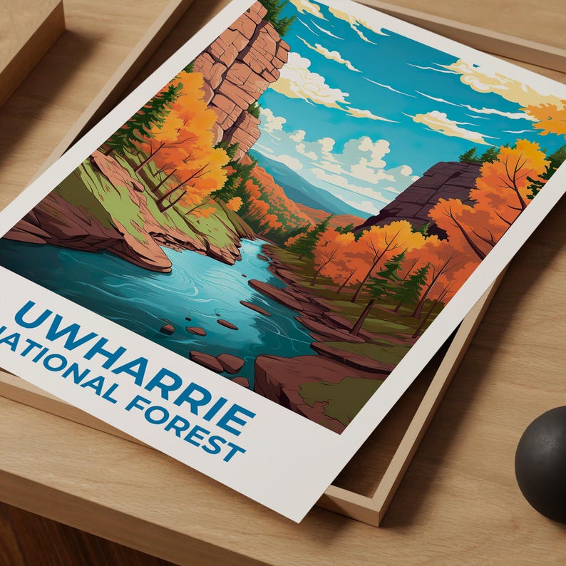 Uwharrie National Forest Travel Print North Carolina Poster Autumn Wall Art Forest Illustration Uwharrie Poster Home Decor Birthday Gift