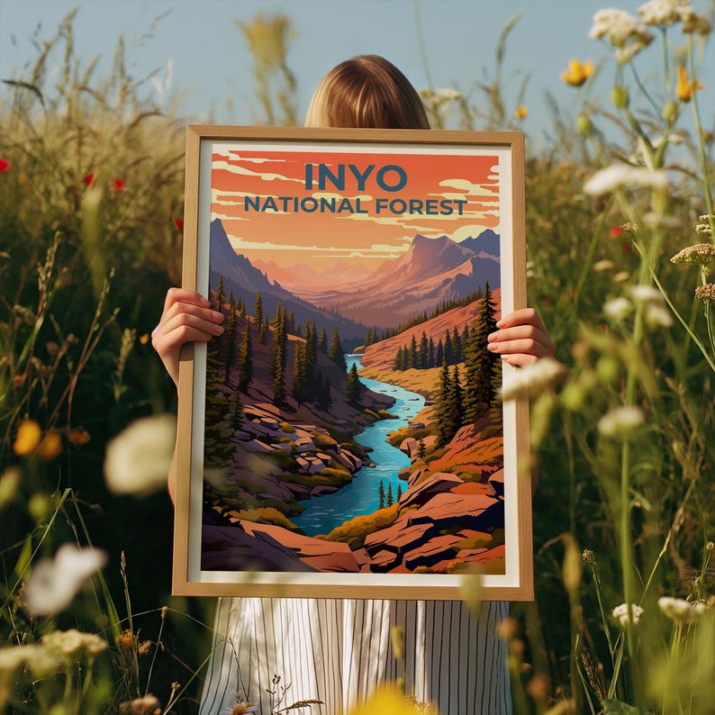 Inyo National Forest Travel Print, California Poster, Forest Wall Art, Mountain Illustration, Inyo Poster, Home Decor, Birthday Gift