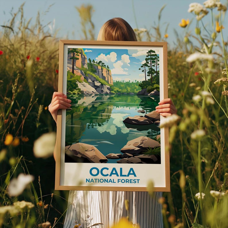 Ocala National Forest Travel Print Florida Poster Lake Wall Art Ocala Illustration Ocala Poster Home Decor Birthday Gift