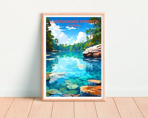 Ichetucknee Springs Travel Poster, Florida Wall Art, Florida Print, Ichetucknee Springs Poster, Nature Poster, Springs Poster