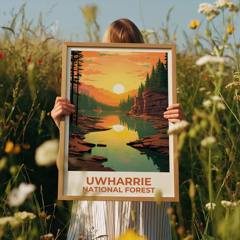 Uwharrie National Forest Travel Print North Carolina Poster Forest Wall Art Mountain Illustration Uwharrie Poster Home Decor Birthday Gift
