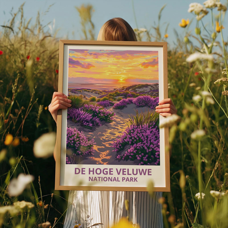 De Hoge Veluwe Poster – Netherlands Heathland Sunset