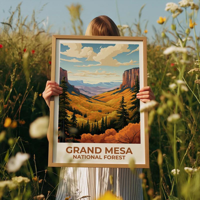 Grand Mesa National Forest Poster - Autumn Valley Print